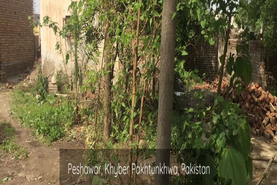 Geo-tagged field verification photograph recorded during an environmental audit